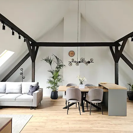 Swan * غليفيتسه