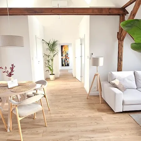 Swan * غليفيتسه