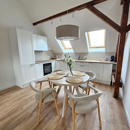 Swan * غليفيتسه