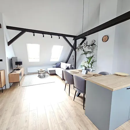 Apartment Swan Gliwice