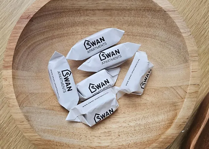 شقة Swan غليفيتسه