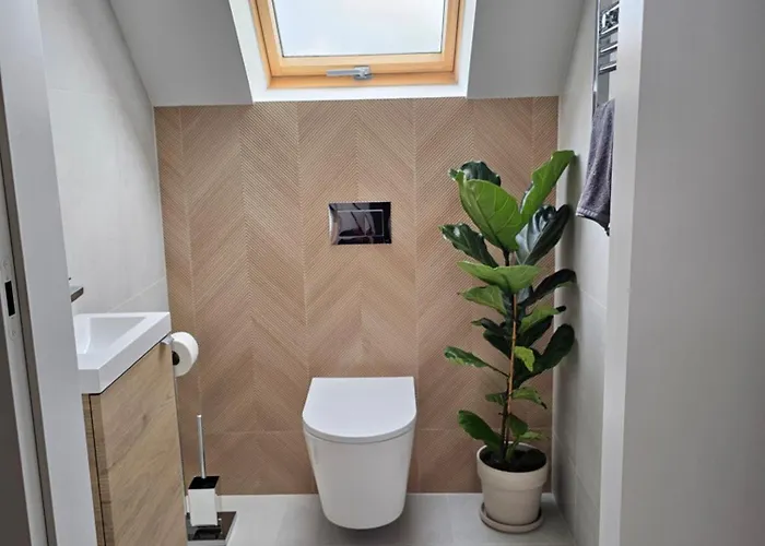 شقة Swan غليفيتسه