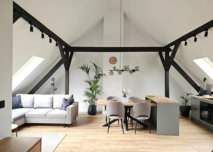 Swan * غليفيتسه