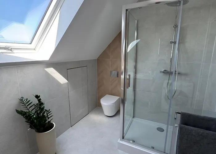 Swan غليفيتسه