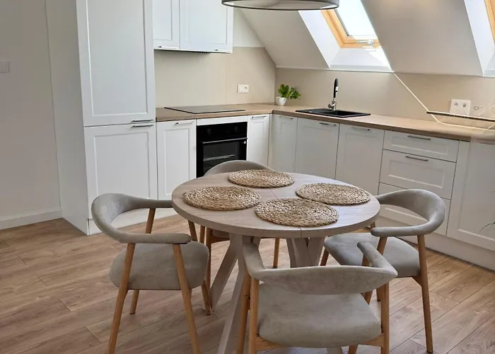 Swan * غليفيتسه