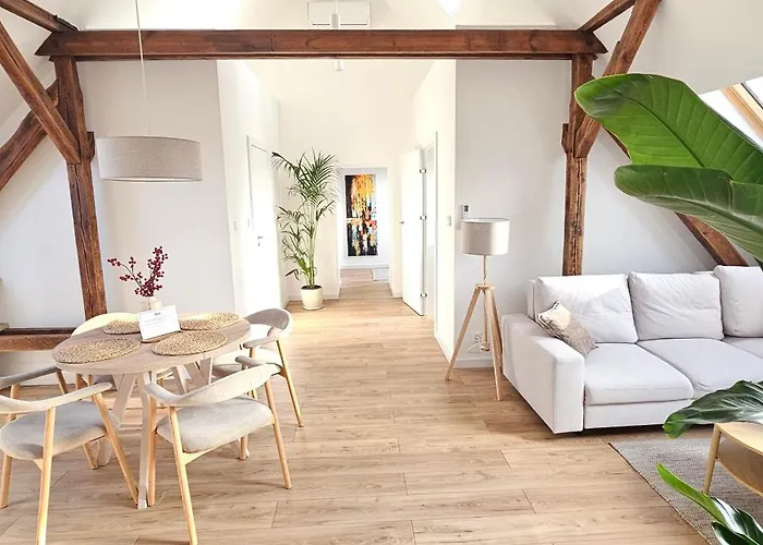 Swan * غليفيتسه