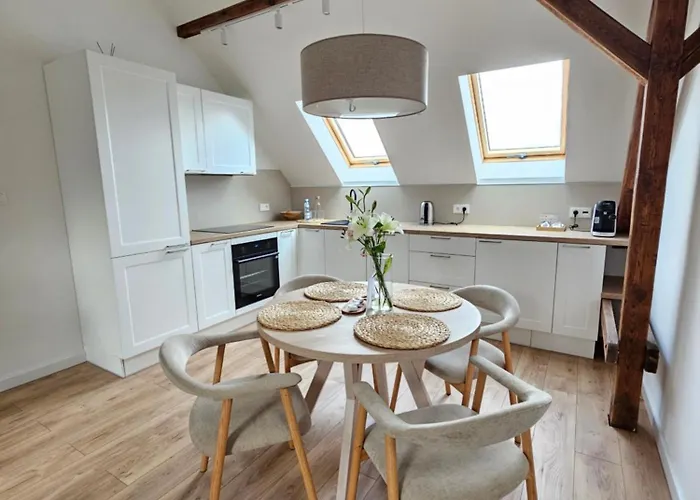 Swan * غليفيتسه